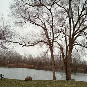 Meet your Posher, Katy